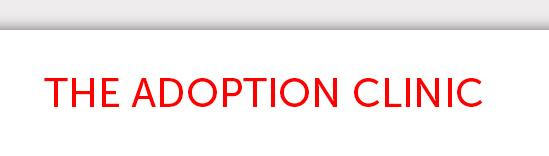 luminate_international_adoption_clinic_header.jpg